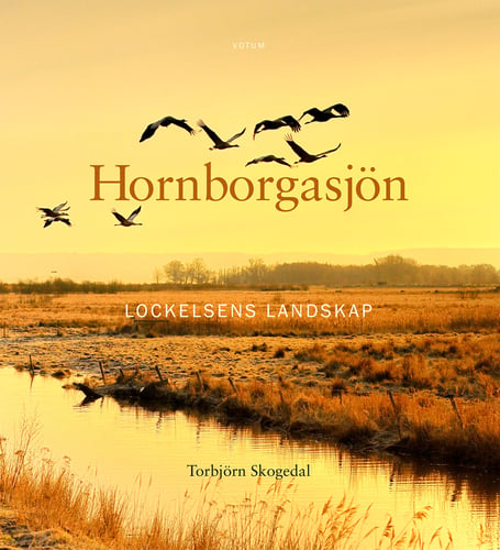 Hornborgasjön : Lockelsens landskap - picture