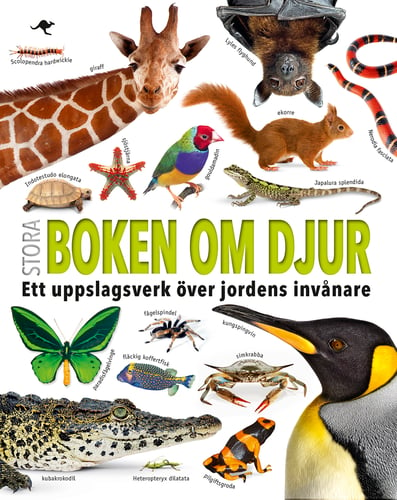 Stora boken om djur : ett uppslagsverk över jordens invånare_0