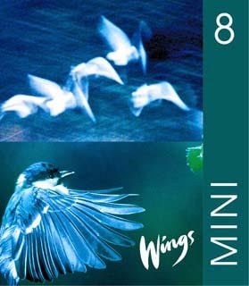Wings Mini. 8, Elevbok_0