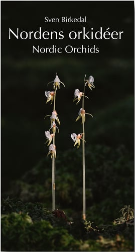 Nordens orkidéer : en fältguide / Nordic Orchids : a field guide_0
