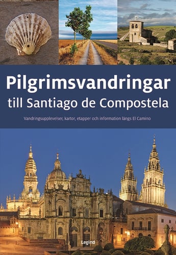 Pilgrimsvandringar till Santiago de Compostela - picture
