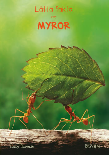 Lätta fakta om myror - picture