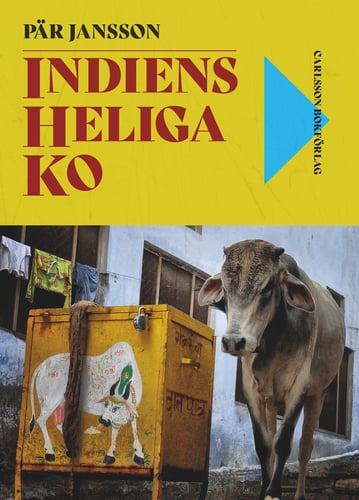 Indiens heliga ko - picture