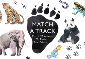 Match a Track: Match 25 Animals to Their Paw Prints - picture