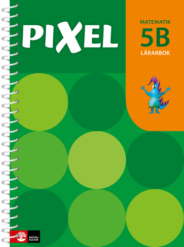 Pixel 5B Lärarbok, andra upplagan - picture