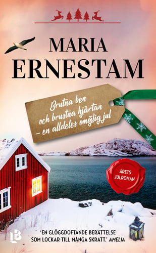 Brutna ben och brustna hjärtan - en alldeles omöjlig jul_0