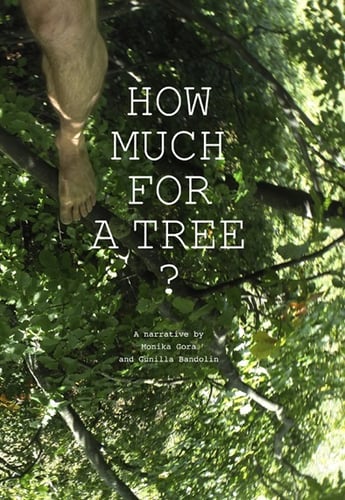 How much for a tree?_0