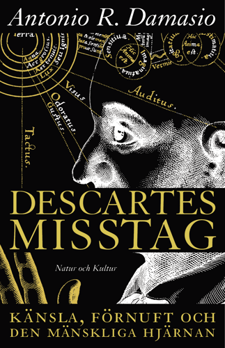 Descartes misstag_0