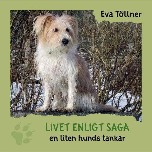 Livet enligt Saga : en liten hunds tankar - picture