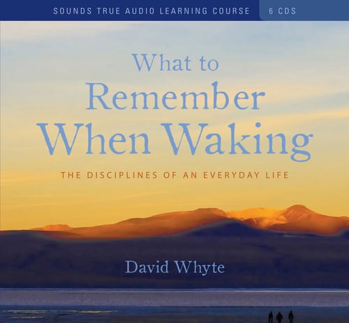 What to Remember When Waking : The Disciplines of an Everyday Life_0