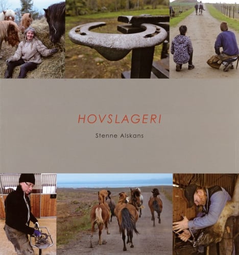 Hovslageri - picture