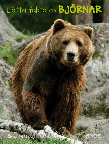 Lätta fakta om björnar - picture