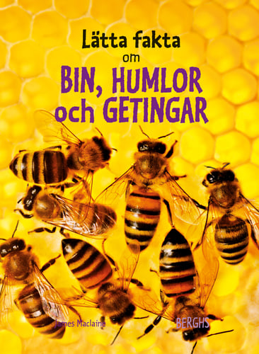 Lätta fakta om bin, humlor och  getingar_0