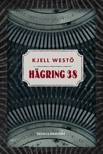 Hägring 38 - picture