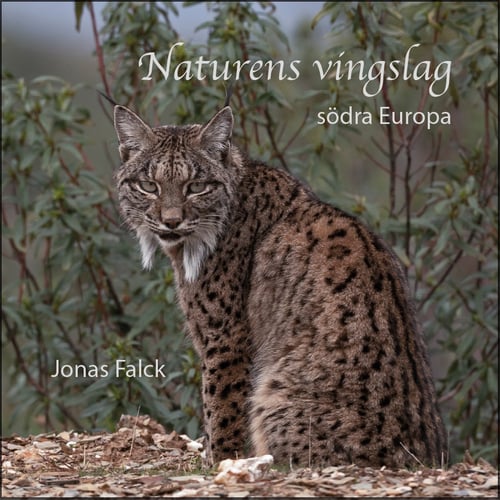 Naturens vingslag : södra Europa - picture
