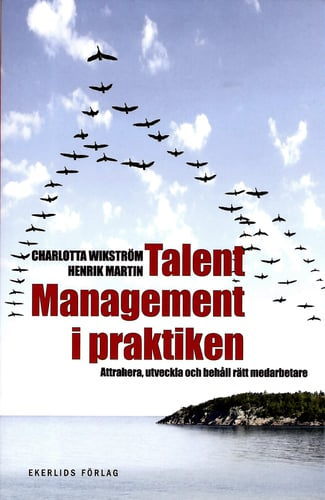 Talent management i praktiken : attrahera, utveckla och behåll rätt medarbetare_0