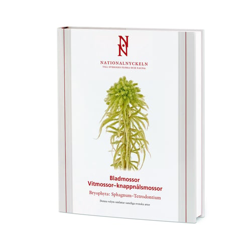 Bladmossor: Vitmossor – knappnålsmossor: Bryophyta: Sphagnum–Tetrodontium_0