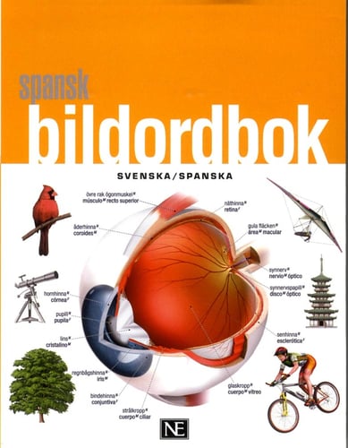 Spansk bildordbok - picture