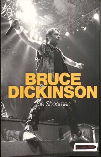 Bruce Dickinson - picture
