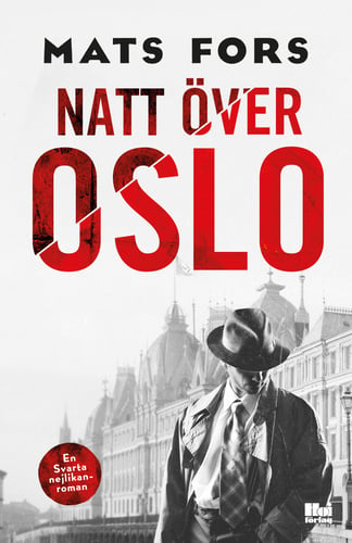 Natt över Oslo - picture