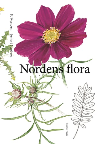 Nordens flora - picture