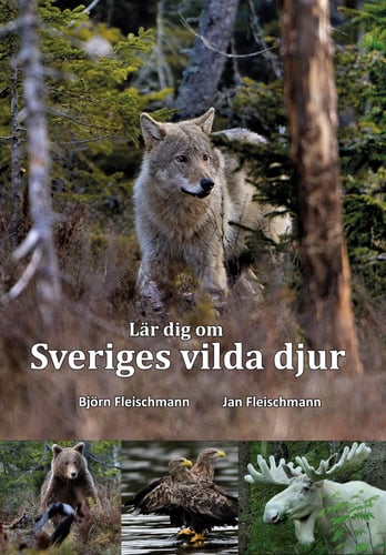 Lär dig om Sveriges vilda djur_0