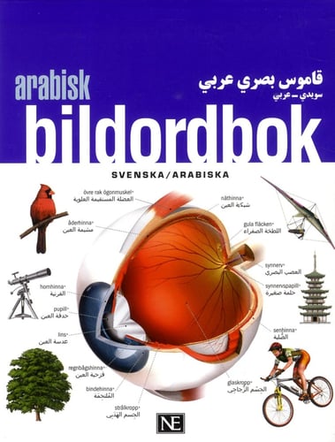 Arabisk bildordbok - picture