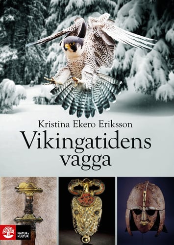 Vikingatidens vagga : i vendeltidens värld_0