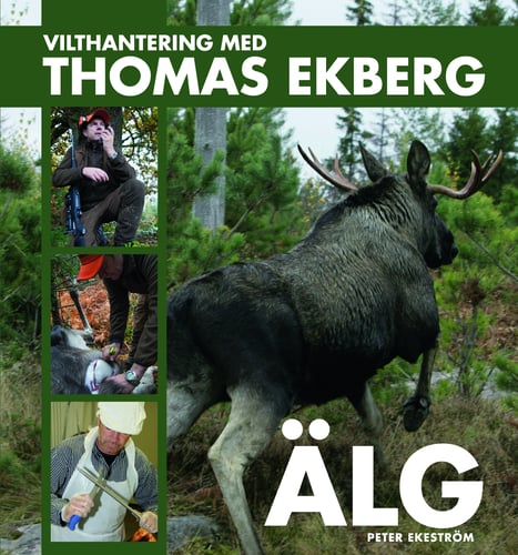 Vilthantering med Thomas Ekberg : älg - picture