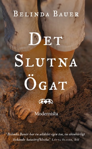 Det slutna ögat_0