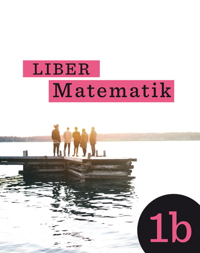 Liber Matematik 1b - picture