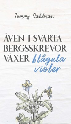 Även i svarta bergsskrevor växer blågula violer_0