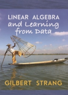 Linear algebra and learning from data - picture