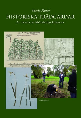 Historiska trädgårdar : att bevara ett föränderligt kulturarv_0