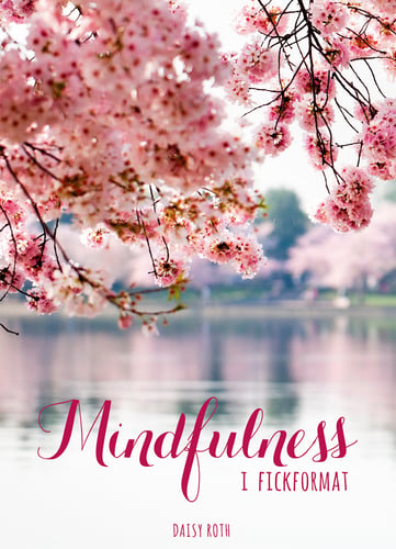 Mindfulness i fickformat - picture