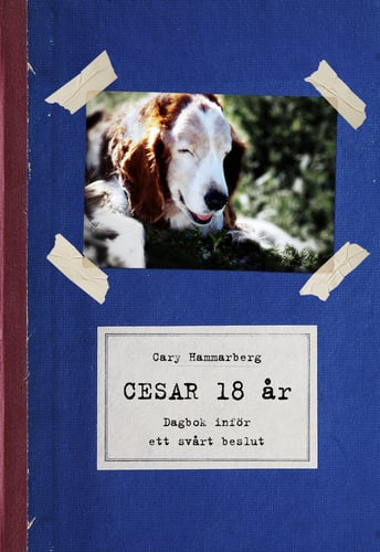 Cesar 18 år : dagbok inför ett svårt beslut_0