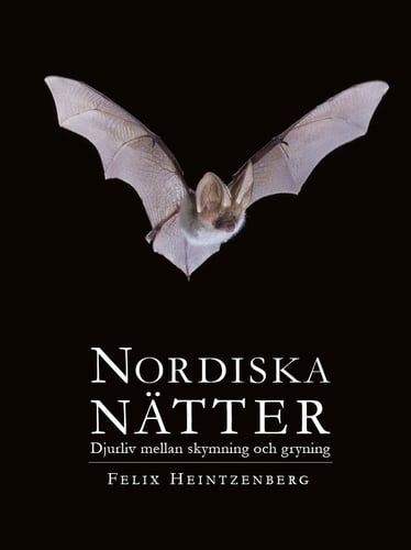 Nordiska Nätter : djurliv mellan skymning och gryning - picture