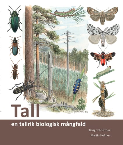 Tall : en tallrik biologisk mångfald_0