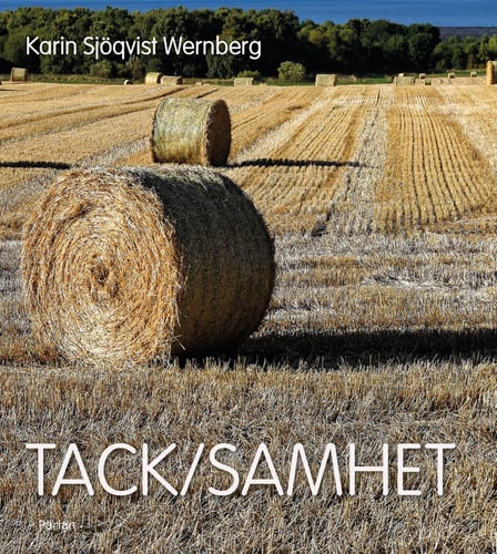 Tack/samhet - picture