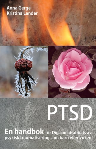PTSD : en handbok för Dig som drabbats av psykisk traumatisering som barn eller vuxen - picture