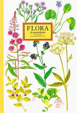 Flora för grundskolan - picture