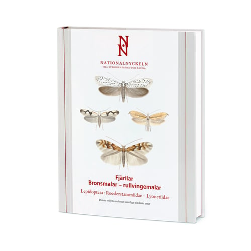 Fjärilar : bronsmalar - rullvingemalar. Lepidoptera : roesslerstammidae - lyoneti - picture