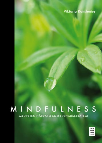 Mindfulness : medveten närvaro som levnadsstrategi - picture