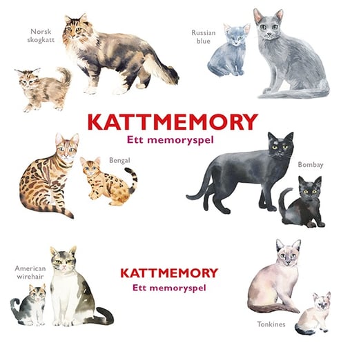 Kattmemory - picture