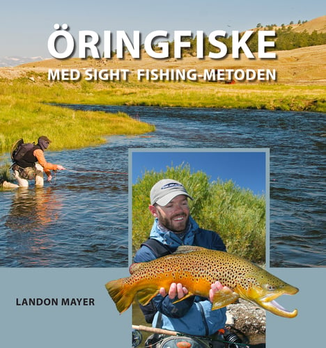 Öringfiske med sight fishing-metoden - picture