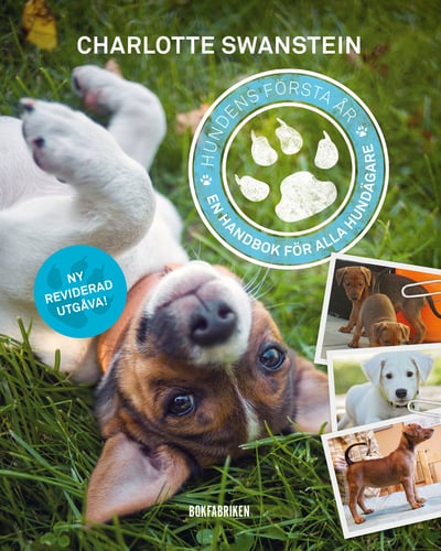 Hundens första år : en handbok för alla hundägare - picture
