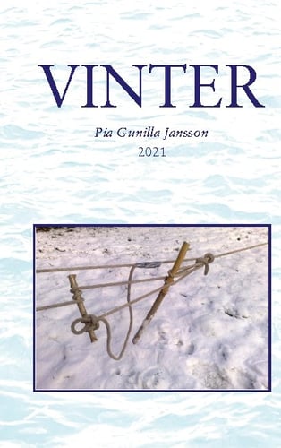 Vinter - picture