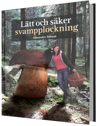 Lätt och säker svampplockning - picture