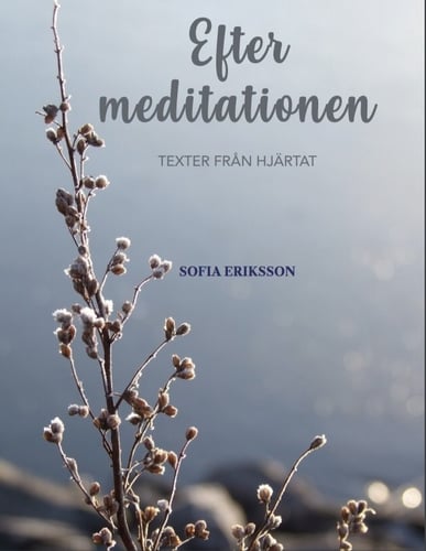 Efter meditationen: texter från hjärtat - picture