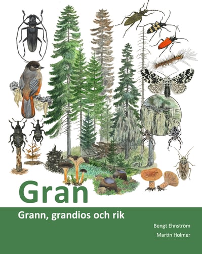 Gran : grann, grandios och rik - picture